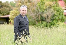 Landowners urged to clear properties