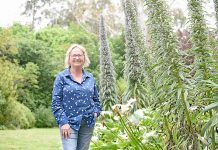 Yahl property showcased