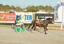 Debutante seizes maiden win