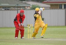 Twenty20 season kicks into gear