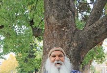 Former resident aims for federal politics