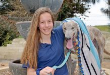 Winter warmer initiative helps raise funds for animal shelter