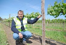 Lack of timber post supply fuels concerns