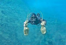 Conservation park project planted