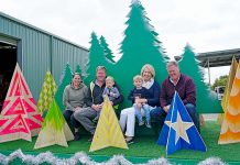 Timber Toy Town to make debut