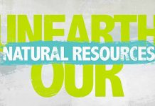 Limestone Coast treasures unearthed