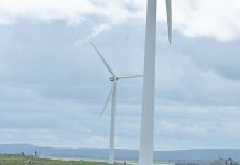 Call to halt wind farms