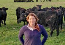 Livestock leader reelected