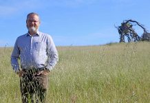 Gower returns to council duties