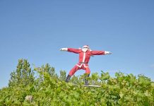 It’s beginning to look a lot like Christmas