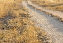 Flexibility enhanced for vegetation management