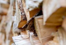 Timber stolen in brazen Millicent theft