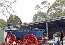 Traction engine on show at Christmas parade
