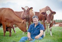 Global cattle conference for city