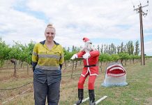 Stuffed Santa contest reaches new heights