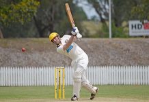 Cricketers share spotlight at midway point of season