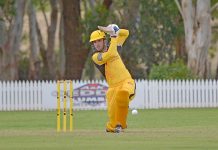 Tigers stalk Twenty20 cup