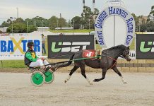 Just A Rumor dominates pony trots at Greenwald Paceway