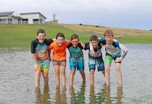 City-wide blackout as lightning shuts down power network