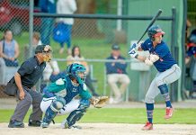 Adelaide bites way to victory