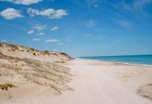 State Government secures $70m to restore Coorong to health