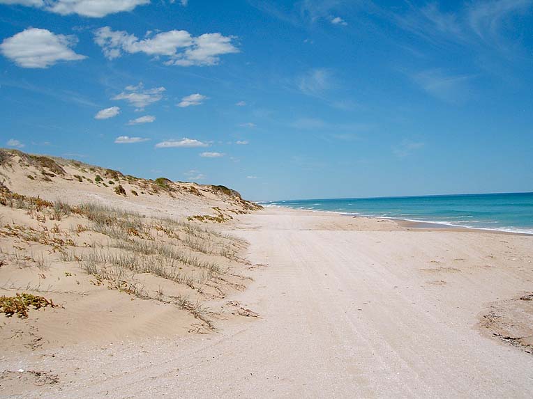 State Government secures $70m to restore Coorong to health