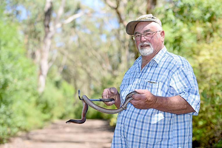 IN DEPTH: Snakes on move as reptile sightings increase