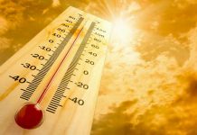 Welfare check initiative