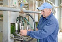 Farm safety in spotlight in order to minimise property dangers