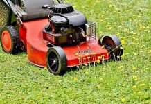 Median strip maintenance options explored