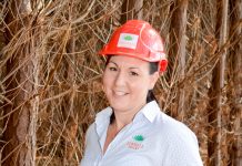 Tall timbers to drive growth