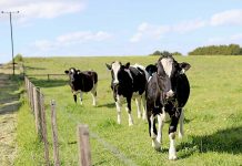 Farmers gain extra protection from illegal animal rights activists