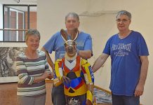 Island beauty showcased with exhibition