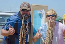 Octopus throw tossed out of Bay festival