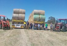 Lions lend hand to struggling farmers