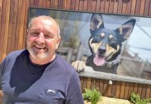 Shire on tourism map