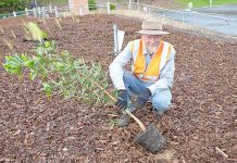 Conservationist to be awarded