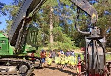 Excursion opens young eyes to timber industry