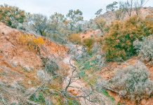 Land clearance conviction