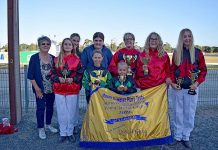 Pony trotter dusts up opposition at Gold Cup