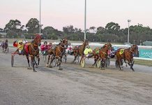 Iam Erik claims gold cup victory