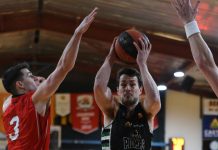 Daly brother joins Pioneers