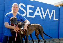 Councils reject South East Animal Welfare League appeal for extra funding