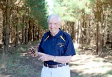Former forester looks back on decades of service