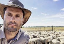 SOCIAL FEED: Jan 12 2019: Aged care leader bid farewell. Aspiring journalist secures rare interview. Grapes of Mirth. Gavin Wanganeen.