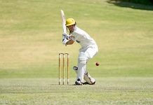 Schutz fires double century
