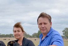 Venomous reptile fires warning shot