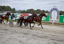 Field finalised for Gold Cup