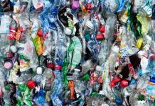 State Government considers plastics ban