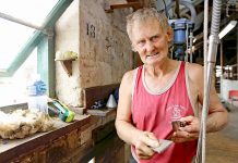 Traditional shearing event returns to Glencoe